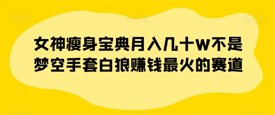 （6460期）女神瘦身宝典月入几十W不是梦空手套白狼赚钱最火的赛道【揭秘】 网赚项目 第1张