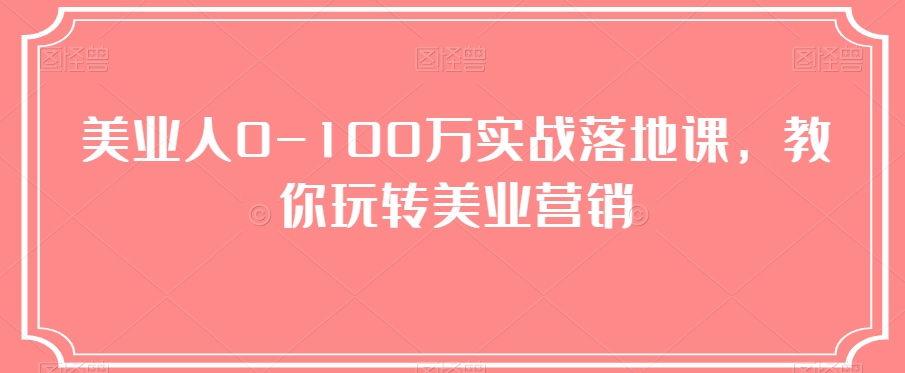 （6520期）美业人0-100万实战落地课，教你玩转美业营销 综合教程 第1张