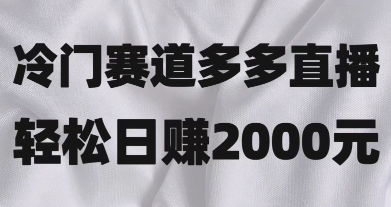 （6542期）冷门赛道拼多多直播，简单念稿子，日收益2000＋【揭秘】 网赚项目 第1张