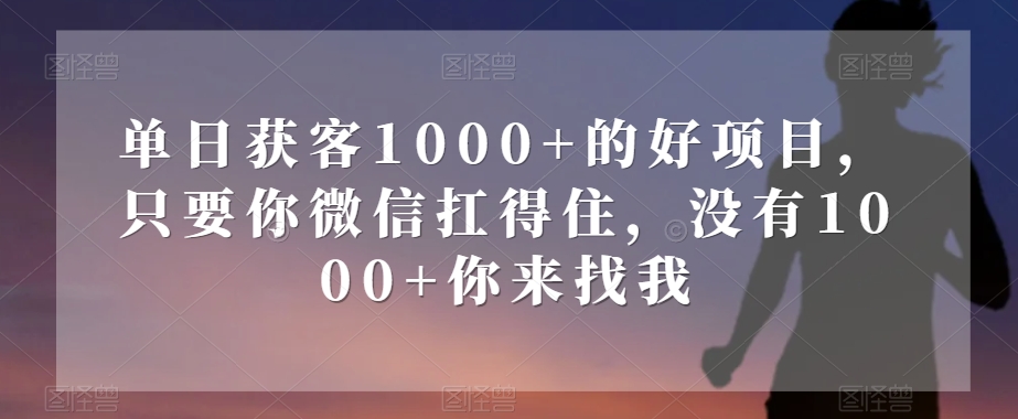 （6588期）单日获客1000+的好项目，只要你微信扛得住，没有1000+你来找我【揭秘】 爆粉引流软件 第1张