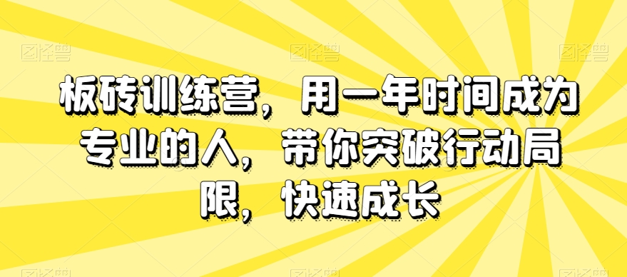 （6615期）板砖训练营，用一年时间成为专业的人，带你突破行动局限，快速成长 综合教程 第1张