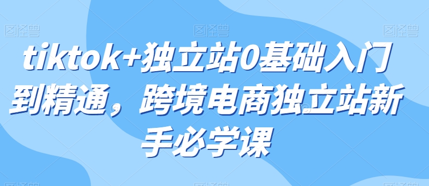 （6629期）Tiktok+独立站0基础入门到精通，跨境电商独立站新手必学课 电商运营 第1张