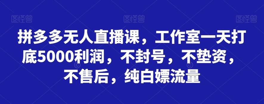 （6667期）拼多多无人直播课，工作室一天打底5000利润，不封号，不垫资，不售后，纯白嫖流量 网赚项目 第1张