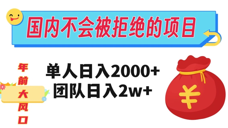 （6674期）在国内不怕被拒绝的项目，单人日入2000，团队日入20000+【揭秘】 网赚项目 第1张