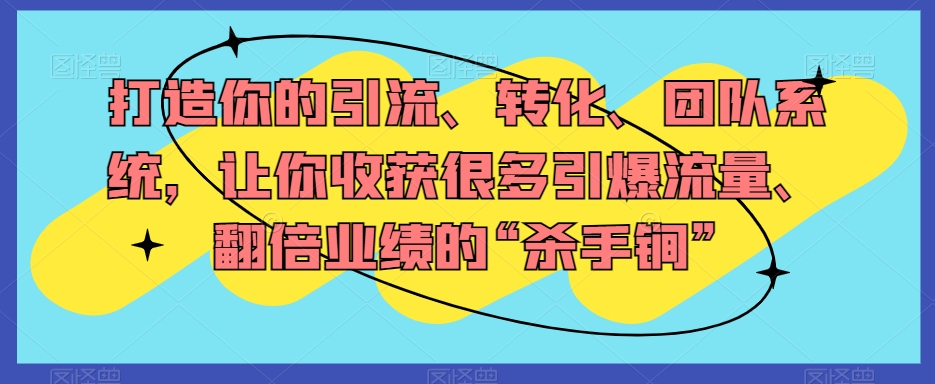 （6680期）打造你的引流、转化、团队系统，让你收获很多引爆流量、翻倍业绩的“杀手锏” 爆粉引流软件 第1张