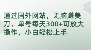（6709期）通过国外网站，无脑赚美刀，单号每天300+可放大操作，小白轻松上手【揭秘】