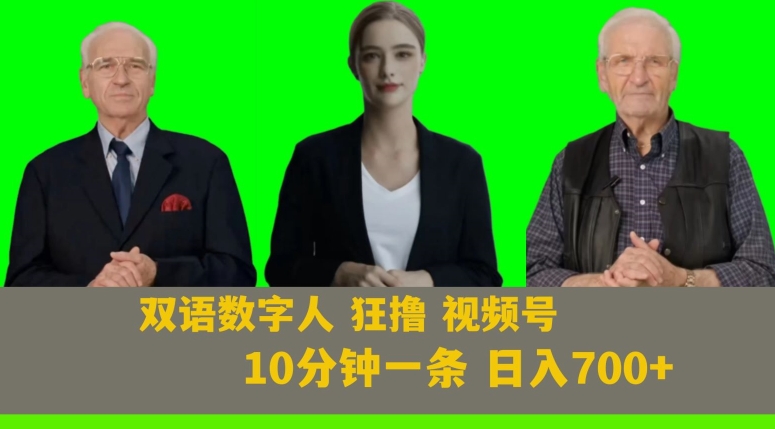 （6742期）Ai生成双语数字人狂撸视频号，日入700+内附251G素材【揭秘】 网赚项目 第1张