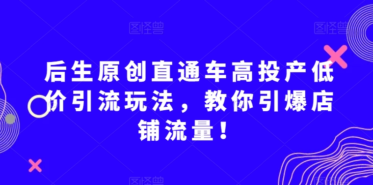 （6748期）后生原创直通车高投产低价引流玩法，教你引爆店铺流量 电商运营 第1张