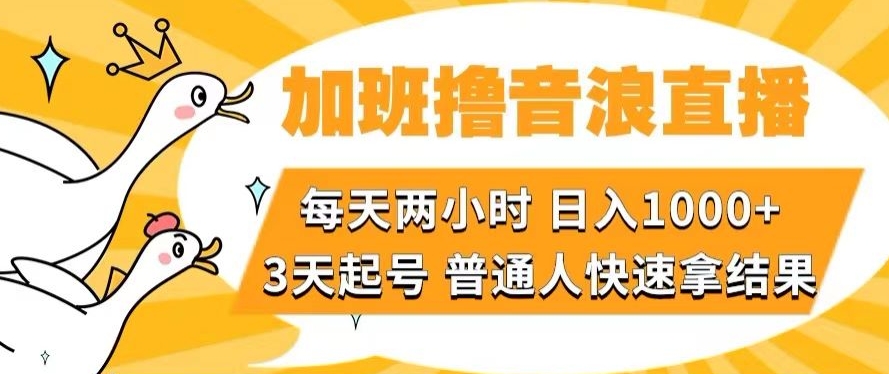 （6781期）加班撸音浪直播，每天两小时，日入1000+，直播话术才3句，3天起号，普通人快速拿结果【揭秘】 网赚项目 第1张