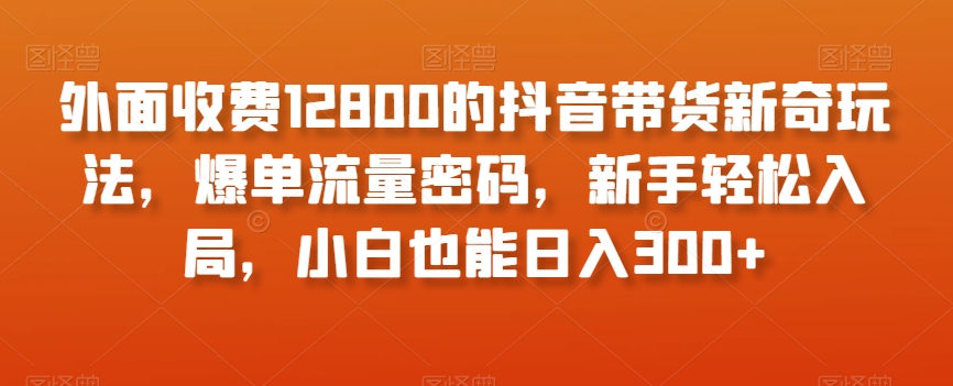 （6850期）外面收费12800的抖音带货新奇玩法，爆单流量密码，新手轻松入局，小白也能日入300+【揭秘】 网赚项目 第1张