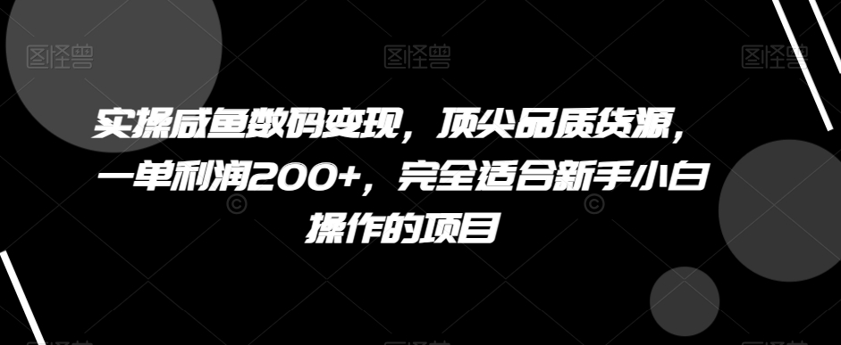 （6856期）实操咸鱼数码变现，顶尖品质货源，一单利润200+，完全适合新手小白操作的项目【揭秘】 电商运营 第1张