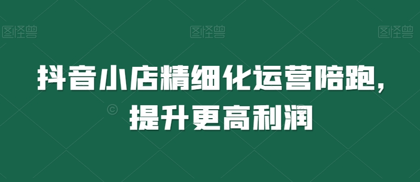 （6948期）抖音小店精细化运营陪跑，提升更高利润 电商运营 第1张