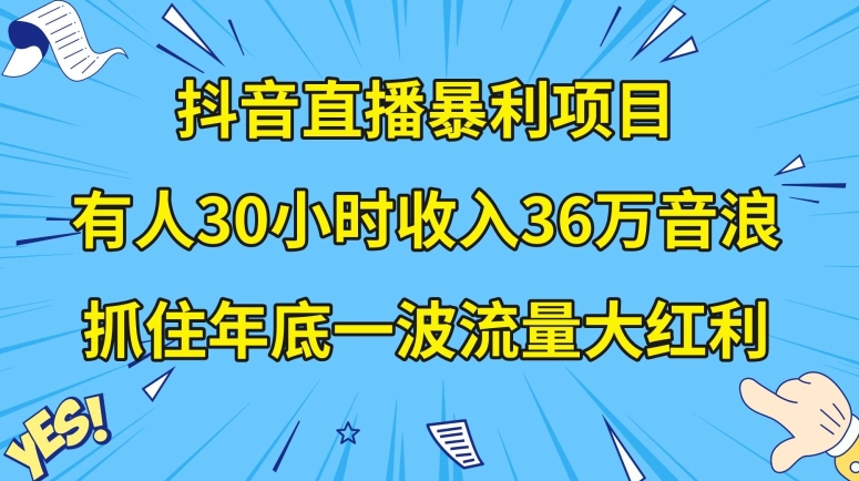 （6953期）抖音直播暴利项目，有人30小时收入36万音浪，公司宣传片年会视频制作，抓住年底一波流量大红利 网赚项目 第1张