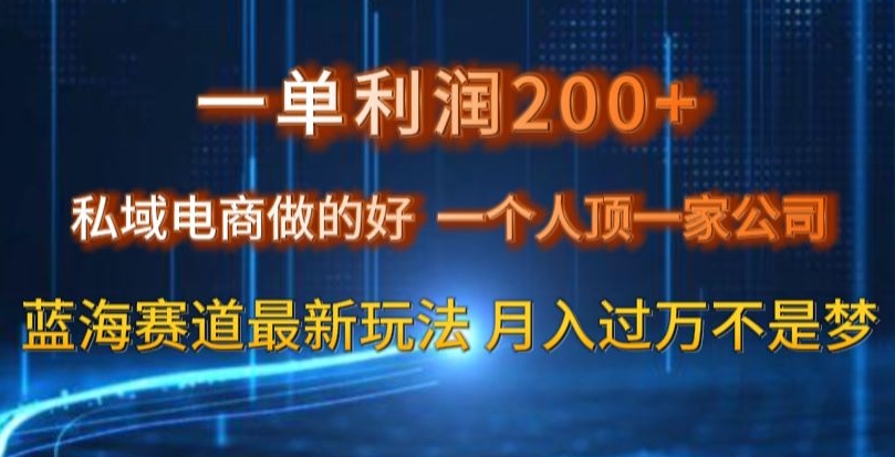 （6962期）一单利润200私域电商做的好，一个人顶一家公司蓝海赛道最新玩法 网赚项目 第1张