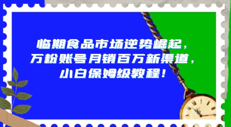 （6964期）临期食品市场逆势崛起，万粉账号月销百万新渠道，小白保姆级教程 网赚项目 第1张