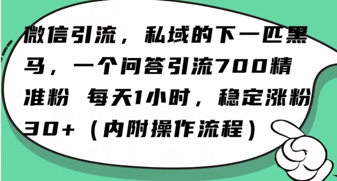 （6974期）怎么搞精准创业粉？微信新赛道，每天一小时，利用Ai一个问答日引100精准粉 爆粉引流软件 第1张