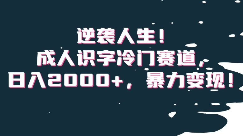 （7011期）逆袭人生！成人识字冷门赛道，日入2000+，暴力变现 网赚项目 第1张