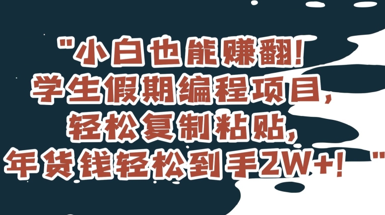 （7013期）小白也能赚翻！学生假期编程项目，轻松复制粘贴，年货钱轻松到手2W+ 网赚项目 第1张