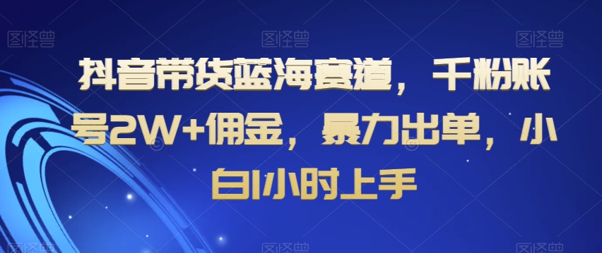 （7019期）抖音带货蓝海赛道，千粉账号2W+佣金，暴力出单，小白1小时上手 网赚项目 第1张