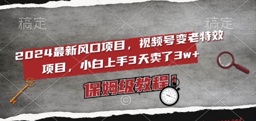 （7056期）2024最新风口项目，视频号变老特效项目，电脑小白上手3天卖了3w+，保姆级教程 网赚项目 第1张