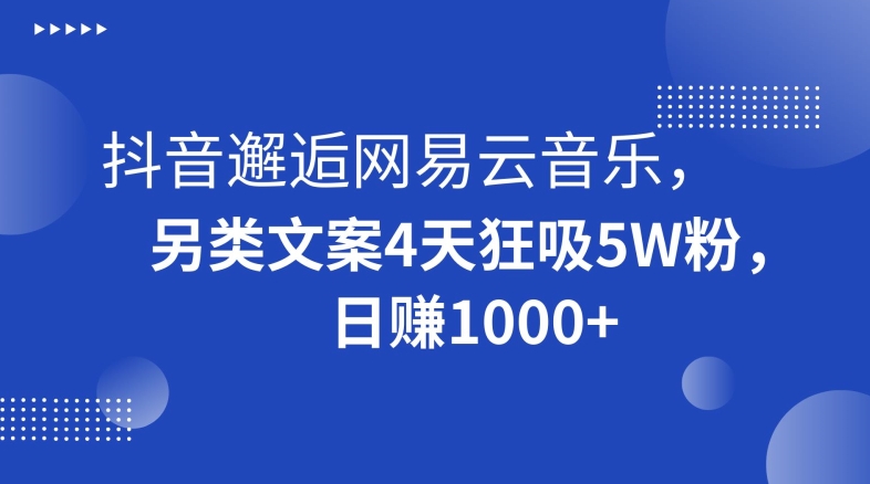 （7077期）抖音邂逅网易云音乐，另类文案4天狂吸5W粉，日赚1000+ 网赚项目 第1张