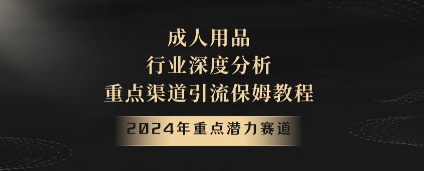 （7079期）2024年重点潜力赛道，成人用品行业深度分析，重点渠道引流保姆教程 网赚项目 第1张