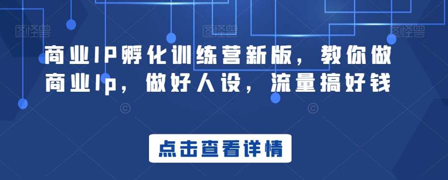 （7117期）商业IP孵化训练营新版，教你做商业Ip，做好人设，流量搞好钱