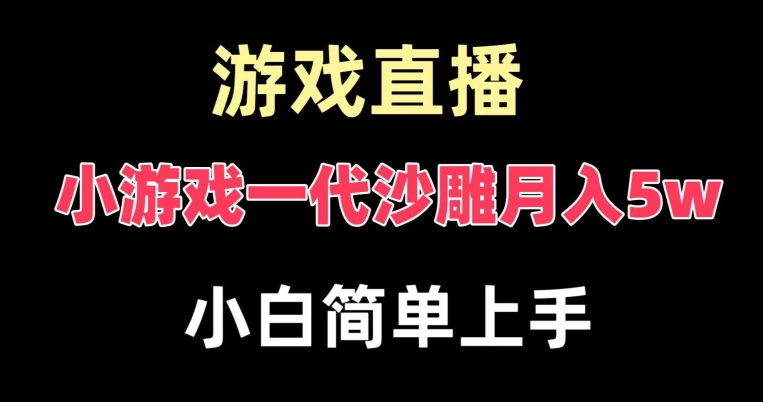 （7205期）玩小游戏一代沙雕月入5w，爆裂变现，快速拿结果，高级保姆式教学 网赚项目 第1张