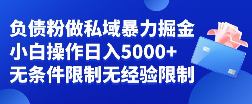 （7207期）负债粉私域暴力掘金，小白操作入5000，无经验限制，无条件限制