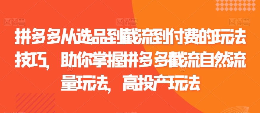 （7359期）拼多多从选品到截流到付费的玩法技巧，助你掌握拼多多截流自然流量玩法，高投产玩法 电商运营 第1张