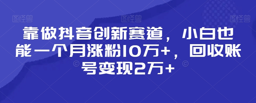 （7371期）靠做抖音创新赛道，小白也能一个月涨粉10万+，回收账号变现2万+ 网赚项目 第1张