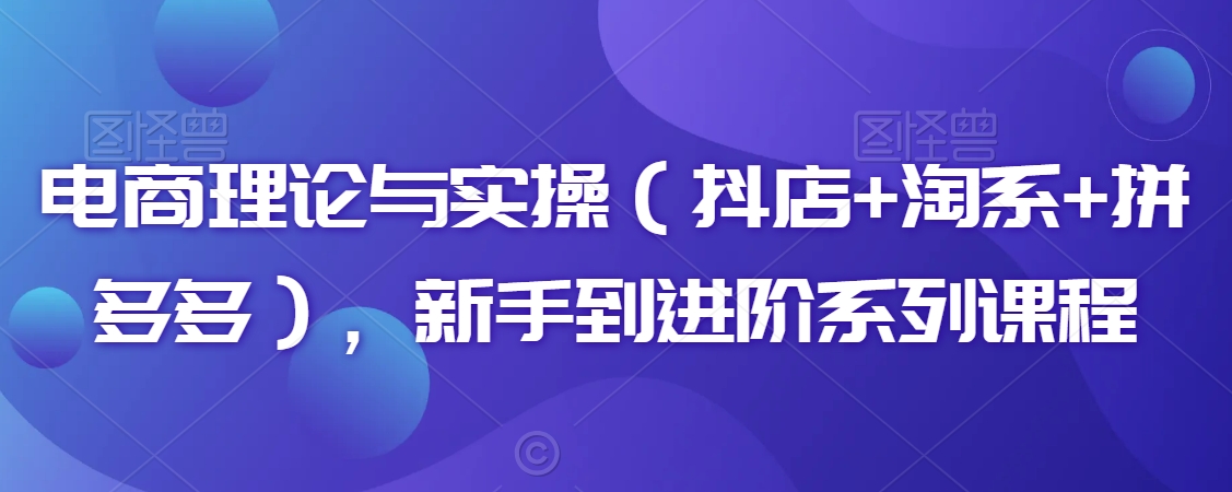 （7469期）电商理论与实操（抖店+淘系+拼多多），新手到进阶系列课程 电商运营 第1张