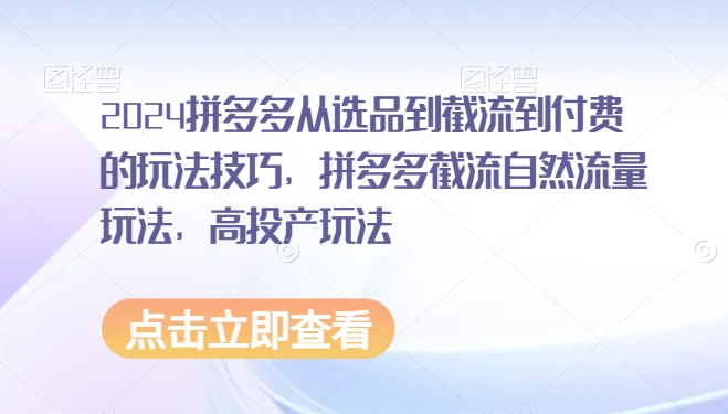 （7518期）2024拼多多从选品到截流到付费的玩法技巧，拼多多截流自然流量玩法，高投产玩法