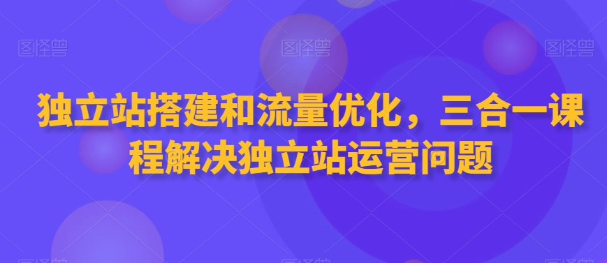 （7616期）独立站搭建和流量优化，三合一课程解决独立站运营问题