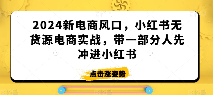 （7644期）2024新电商风口，小红书无货源电商实战，带一部分人先冲进小红书