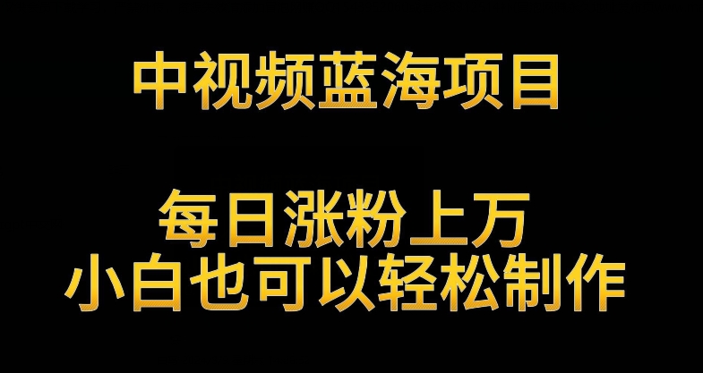 （7739期）中视频蓝海项目，解读英雄人物生平，每日涨粉上万，小白也可以轻松制作，月入过万不是梦