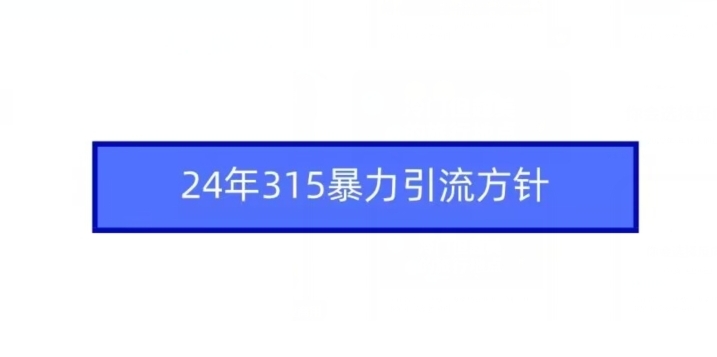 （7779期）24年315暴力引流方针