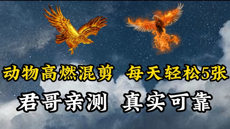 （7858期）动物超燃混剪，每天轻松5张，剪辑简单大家爱看