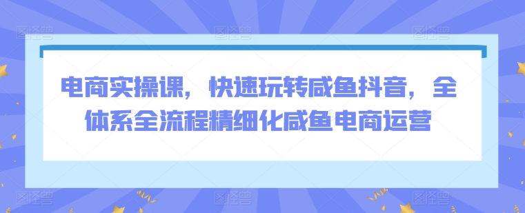 （7911期）电商实操课，快速玩转咸鱼抖音，全体系全流程精细化咸鱼电商运营