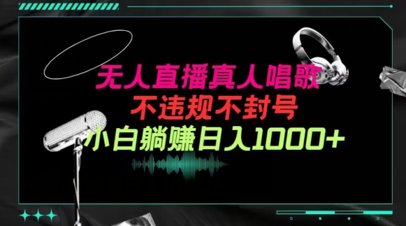 （7977期）抖音24小时无人直播音乐，不违规，不封号纯撸音浪，小白实操当天日入1000+ 网赚项目 第1张