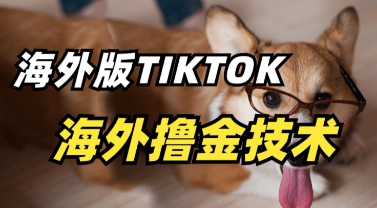 （7999期）抖音海外版tiktok撸金技术，这个风口行业，赚钱真的不难