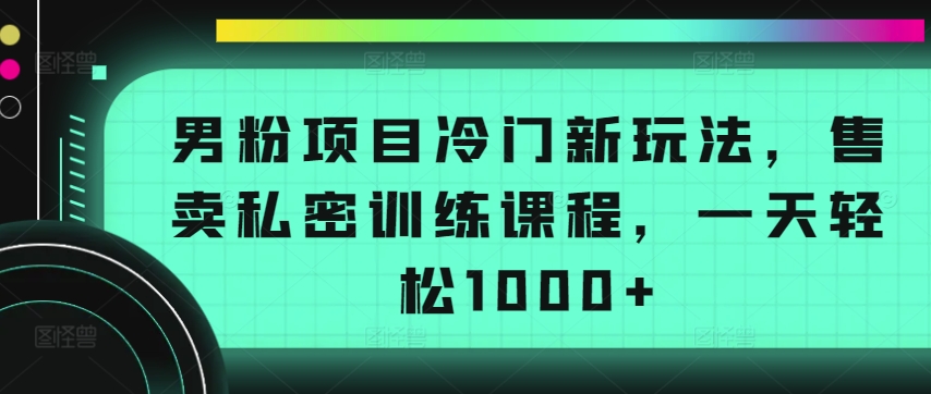 （8106期）男粉项目冷门新玩法，售卖私密训练课程，一天轻松1000+