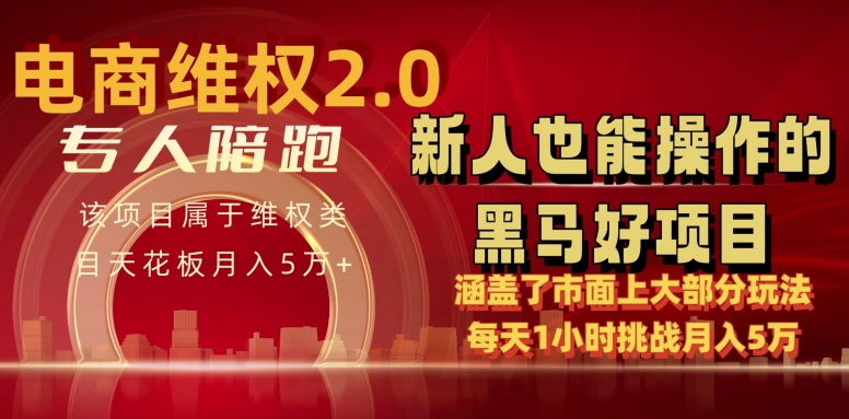 （8133期）电商维权 4.0 如何做到月入 5 万+每天 1 小时新人也能快速上手