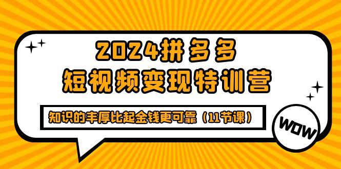 （8138期）2024拼多多短视频变现特训营，知识的丰厚比起金钱更可靠 短视频运营 第1张