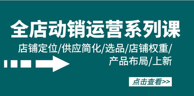 （8145期）全店·动销运营系列课：店铺定位/供应简化/选品/店铺权重/产品布局/上新 电商运营 第1张