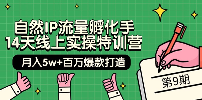 （8167期）自然IP流量孵化手 14天线上实操特训营【第9期】月入5w+百万爆款打造