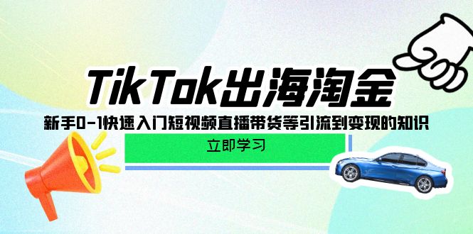 （8290期）TikTok-出海淘金，新手0-1快速入门短视频直播带货等引流到变现的知识