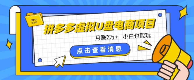 （8295期）拼多多虚拟U盘电商红利项目：月赚2万+，新手小白也能玩 网赚项目 第1张