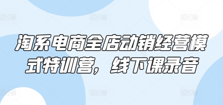 （8407期）淘系电商全店动销经营模式特训营，线下课录音