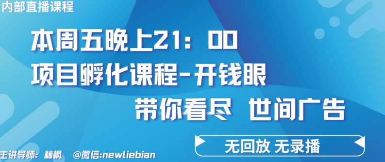 （8421期）4.26日内部回放课程《项目孵化-开钱眼》赚钱的底层逻辑